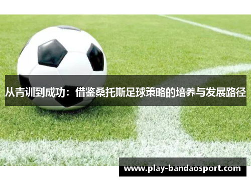 从青训到成功：借鉴桑托斯足球策略的培养与发展路径