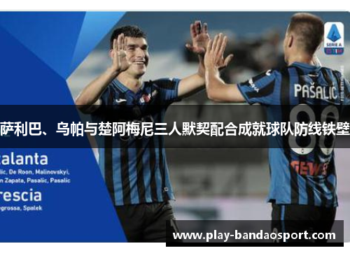 萨利巴、乌帕与楚阿梅尼三人默契配合成就球队防线铁壁