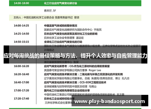 应对每周挑战的最佳策略与方法，提升个人效率与自我管理能力