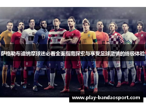 萨格勒布迪纳摩球迷必看全面指南探索与享受足球激情的终极体验