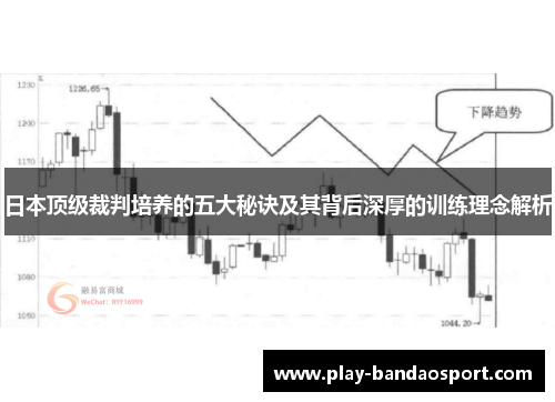 日本顶级裁判培养的五大秘诀及其背后深厚的训练理念解析