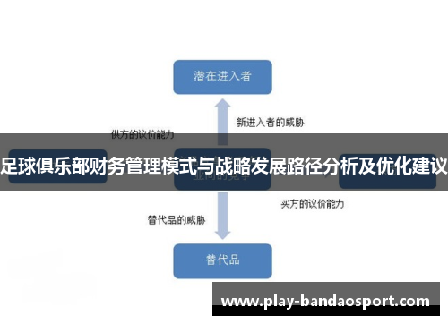 足球俱乐部财务管理模式与战略发展路径分析及优化建议