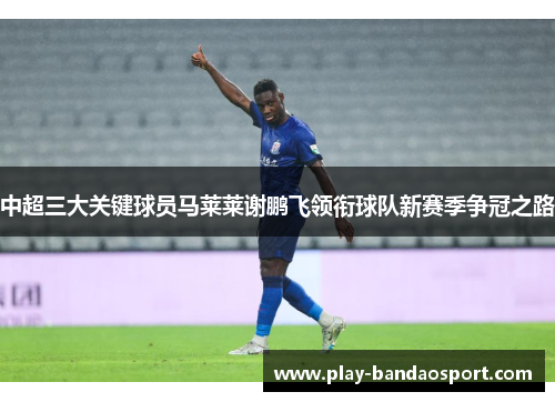 中超三大关键球员马莱莱谢鹏飞领衔球队新赛季争冠之路