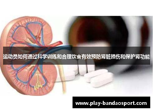 运动员如何通过科学训练和合理饮食有效预防肾脏损伤和保护肾功能
