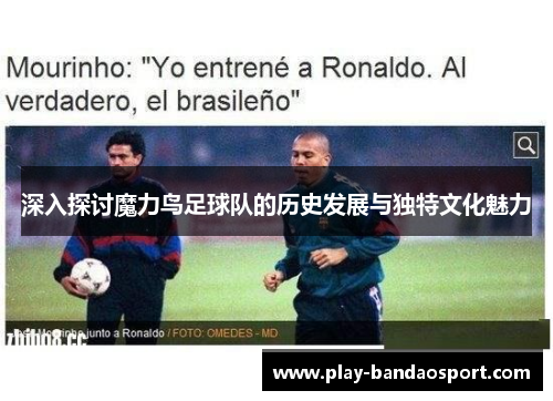 深入探讨魔力鸟足球队的历史发展与独特文化魅力