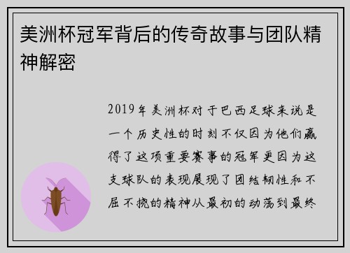 美洲杯冠军背后的传奇故事与团队精神解密