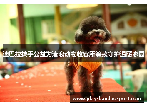 迪巴拉携手公益为流浪动物收容所筹款守护温暖家园 迪巴拉携手公益为流浪动物收容所筹款守护温暖家园