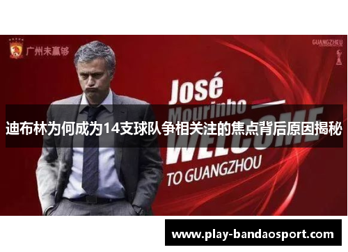 迪布林为何成为14支球队争相关注的焦点背后原因揭秘