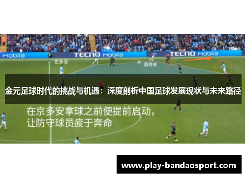 金元足球时代的挑战与机遇：深度剖析中国足球发展现状与未来路径